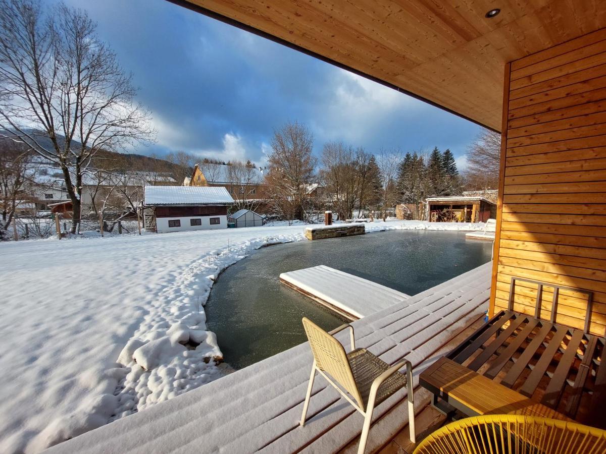 Appartement Am Teich Hainfeld Esterno foto